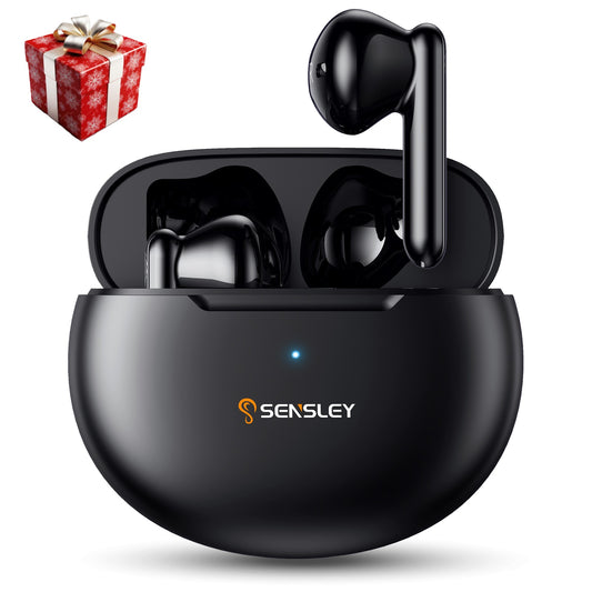 Sensley S02-b Hearing Aids