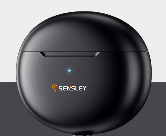 Charging Case of S02 Hearing Aids